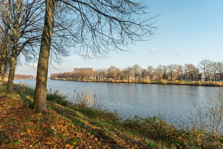 Bekijk foto 45 van de Kluijskamp 1163