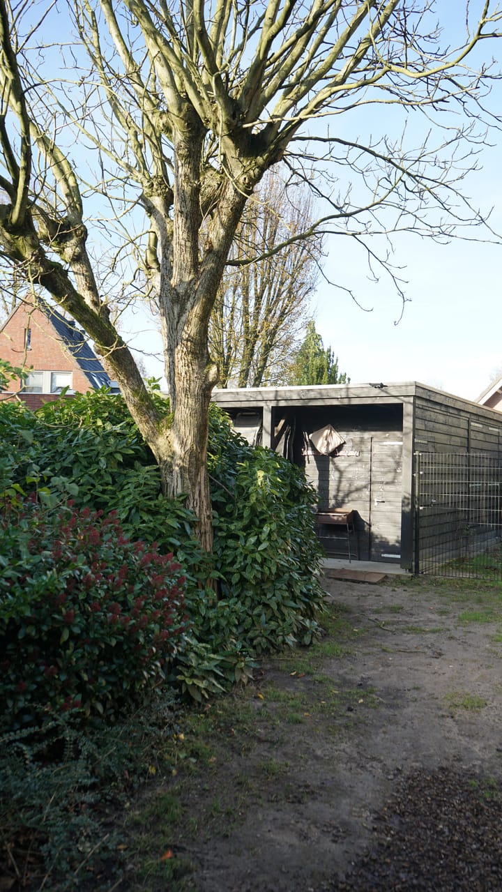 Foto 48 van Spelthof 6