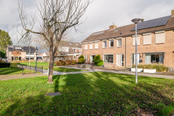 Foto 4 van Lijster 30