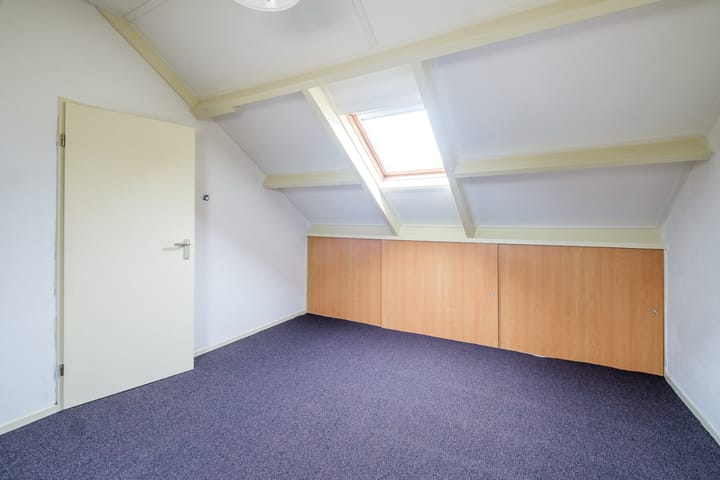 Foto 29 van Lijster 30