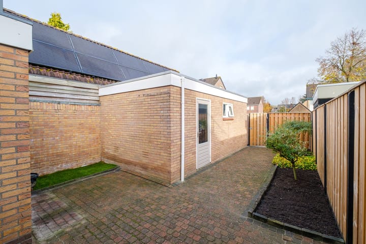 Foto 31 van Lijster 30