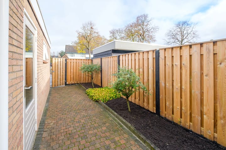 Foto 32 van Lijster 30