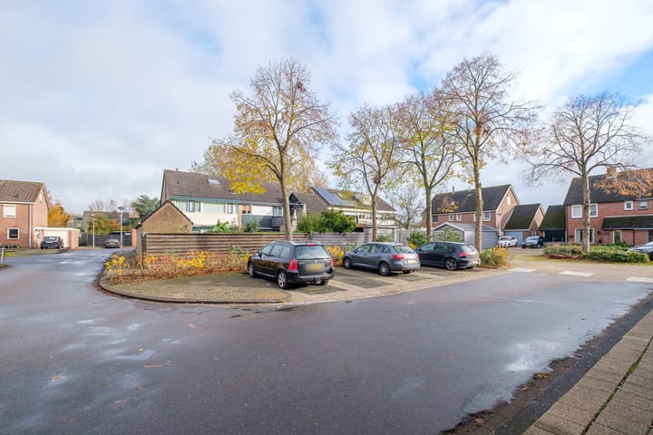 Foto 37 van Lijster 30