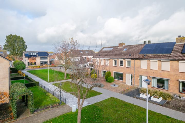 Foto 39 van Lijster 30