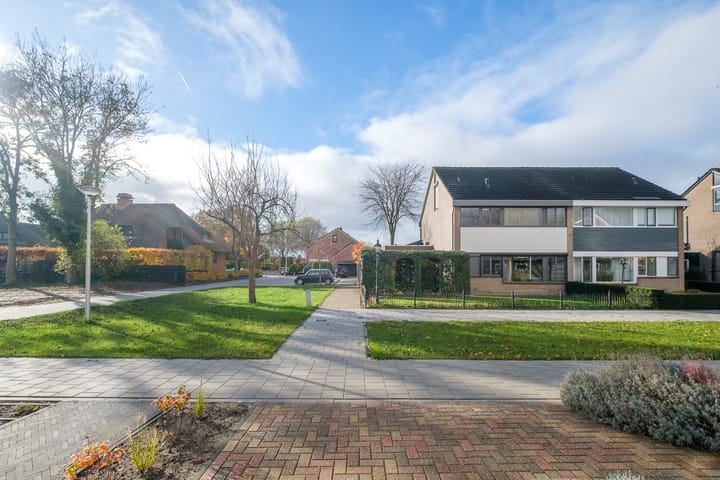 Foto 40 van Lijster 30