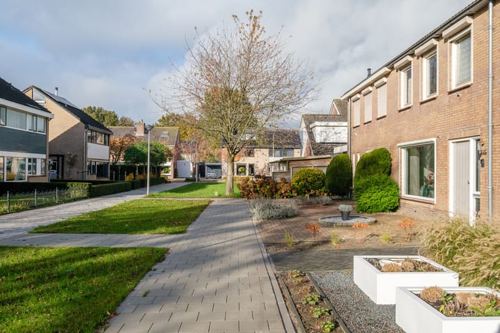 Foto 42 van Lijster 30