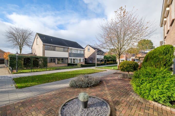 Foto 43 van Lijster 30