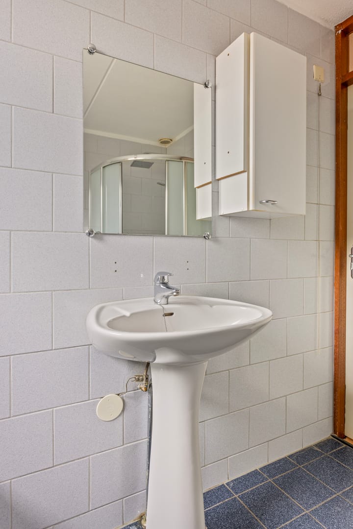 Foto 66 van Eendrachtspolder 34