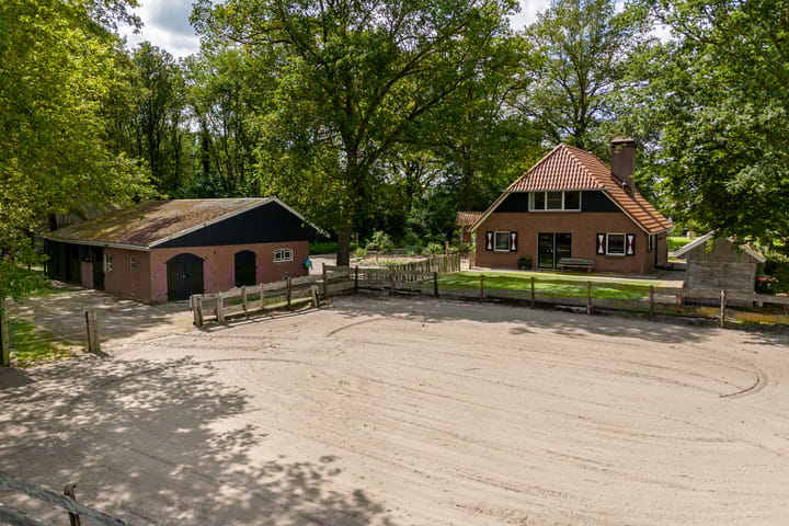 Foto 42 van Schapenweg 6