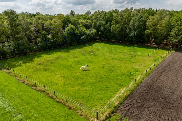 Foto 14 van Schapenweg 6