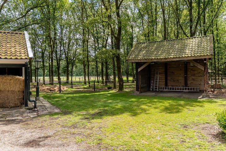 Foto 44 van Schapenweg 6