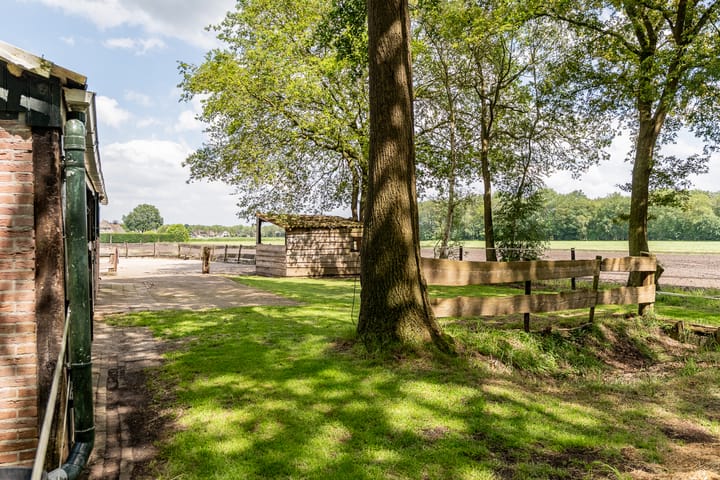 Foto 47 van Schapenweg 6