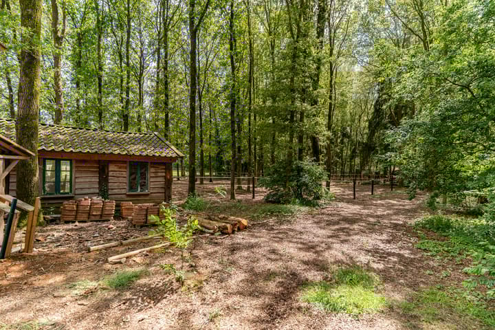 Foto 48 van Schapenweg 6