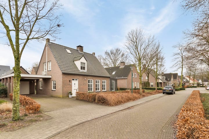 Foto 6 van Hoefblad 14