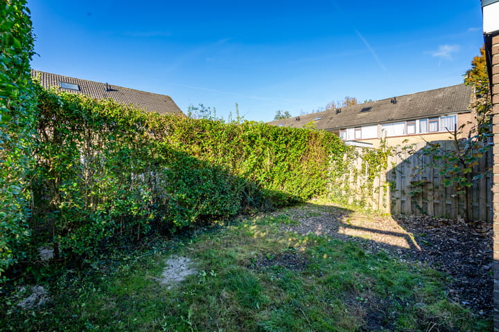 Foto 41 van Ratelaar 62