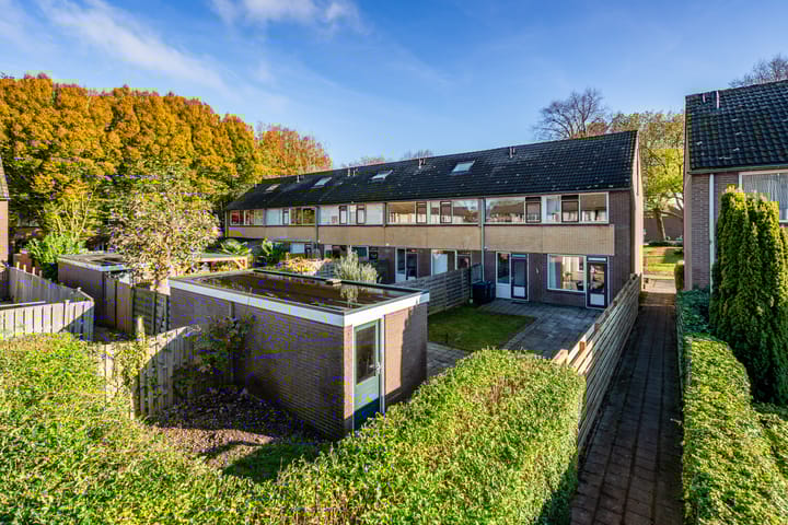 Foto 44 van Ratelaar 62