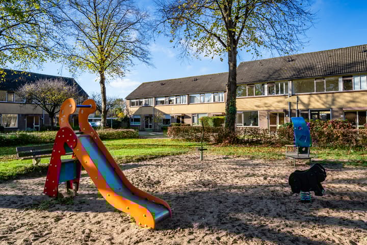 Foto 48 van Ratelaar 62