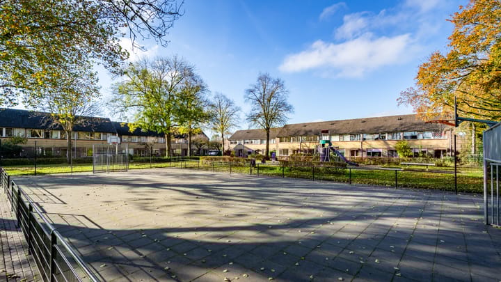 Foto 50 van Ratelaar 62