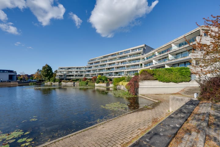 Foto 9 van Veersemeer 50