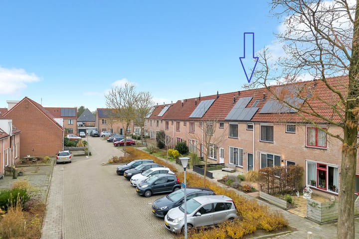 Photo 1 of Manusveert 41