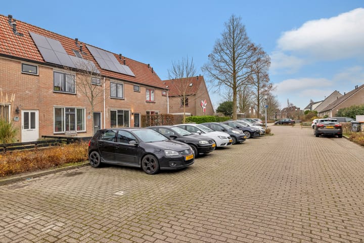 Photo 34 of Manusveert 41