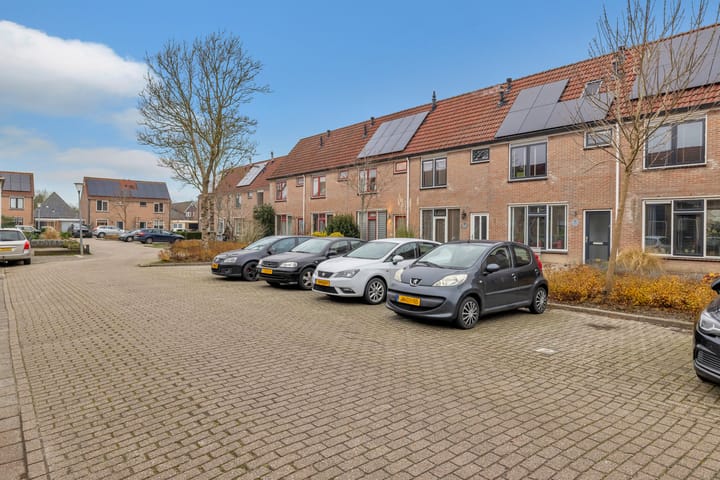 Photo 35 of Manusveert 41