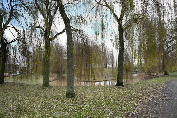 View photo 42 of Munstergeleenhof 19