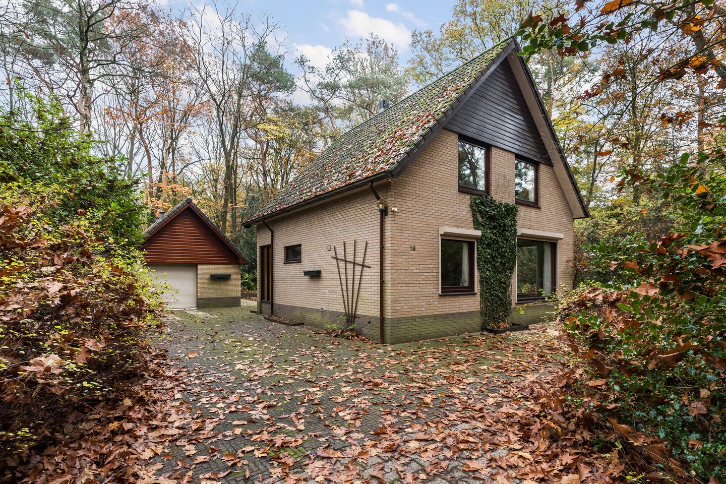 Foto 1 van Burgemeester Diepenhorstlaan 16