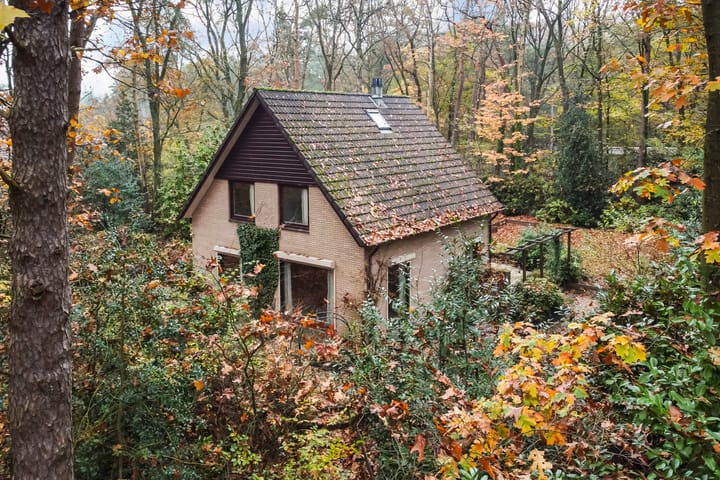 Foto 2 van Burgemeester Diepenhorstlaan 16