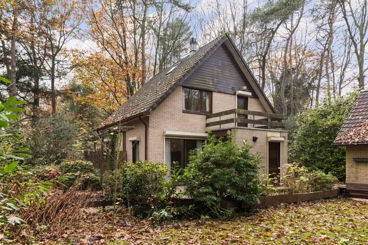 Foto 21 van Burgemeester Diepenhorstlaan 16