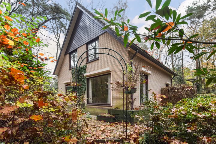 Foto 28 van Burgemeester Diepenhorstlaan 16