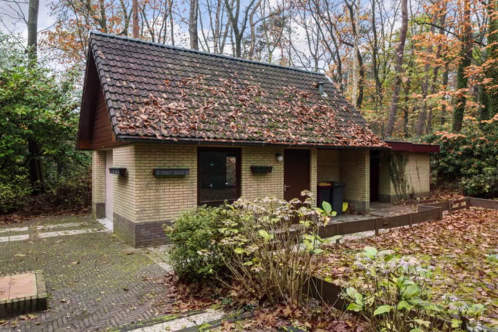 Foto 30 van Burgemeester Diepenhorstlaan 16