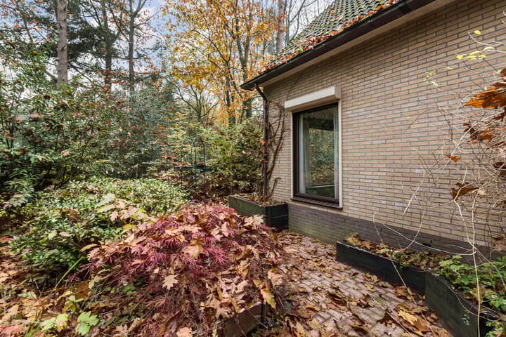 Foto 29 van Burgemeester Diepenhorstlaan 16