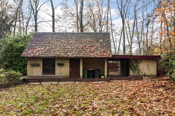 Foto 31 van Burgemeester Diepenhorstlaan 16