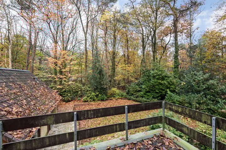 Foto 32 van Burgemeester Diepenhorstlaan 16