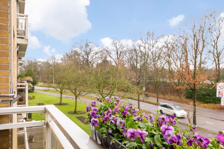 Foto 29 van Brinklaan 285