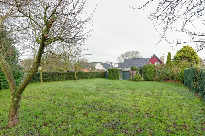 Photo 3 of Mounewei 17