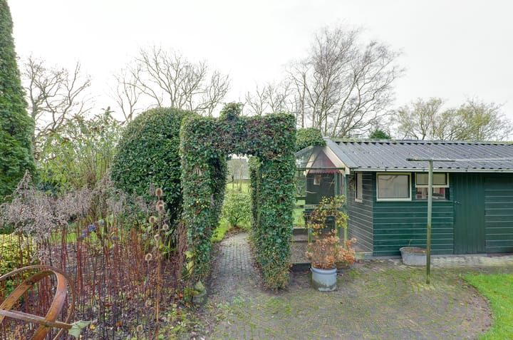 Photo 50 of Mounewei 17