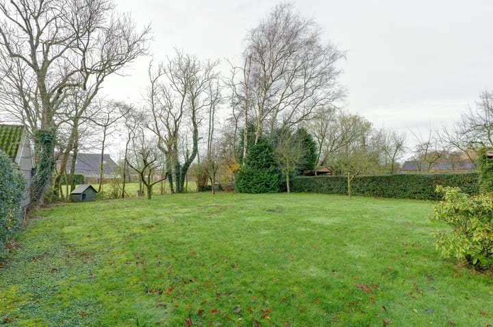 Photo 52 of Mounewei 17