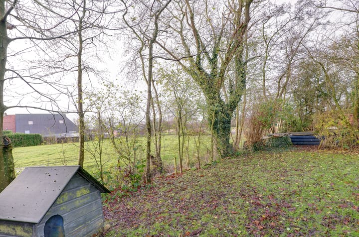 Photo 57 of Mounewei 17