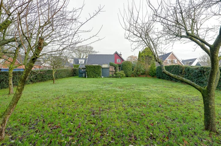 Photo 58 of Mounewei 17