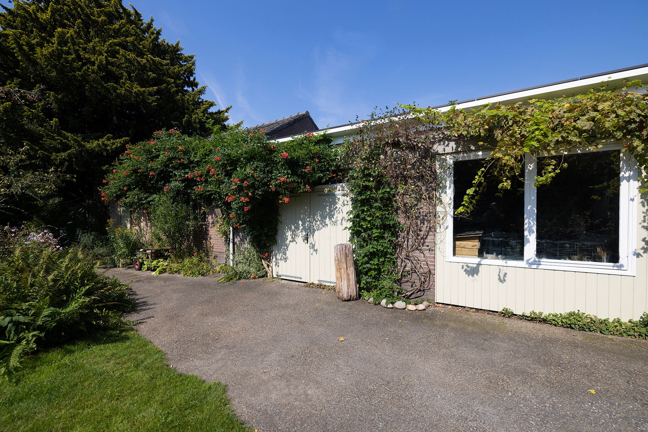 Foto 39 van Zuiderzeestraatweg 491