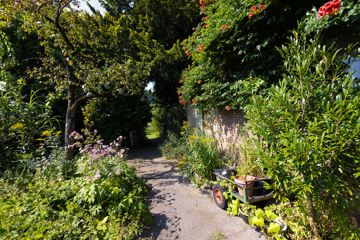 Bekijk foto 43 van Zuiderzeestraatweg 491