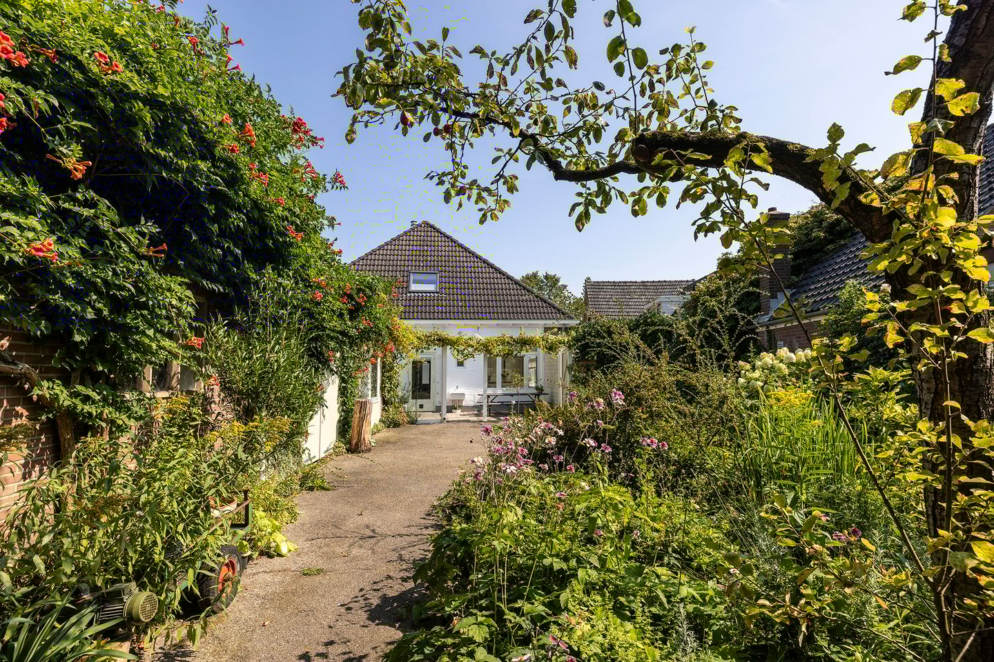 Foto 44 van Zuiderzeestraatweg 491