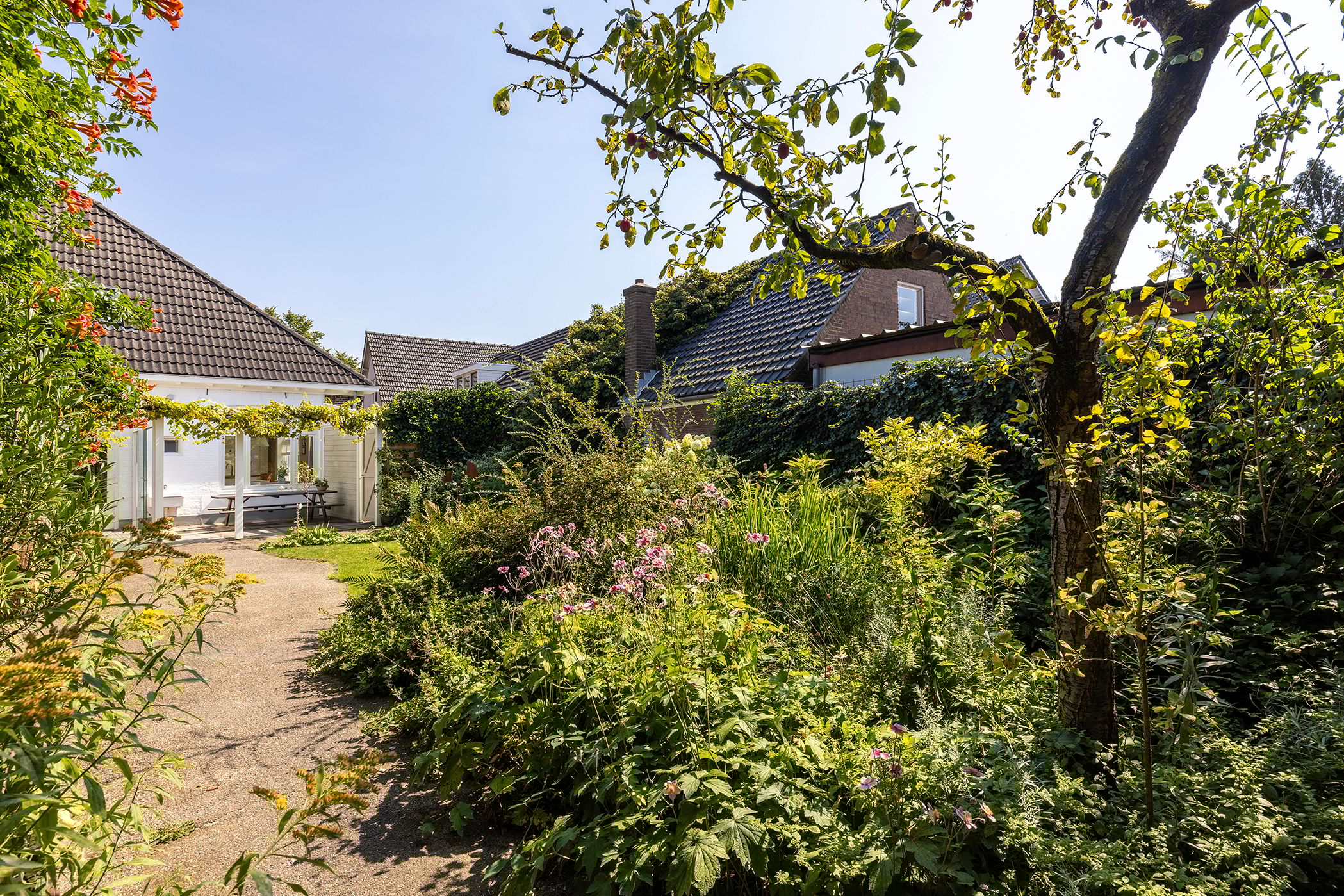 Foto 45 van Zuiderzeestraatweg 491