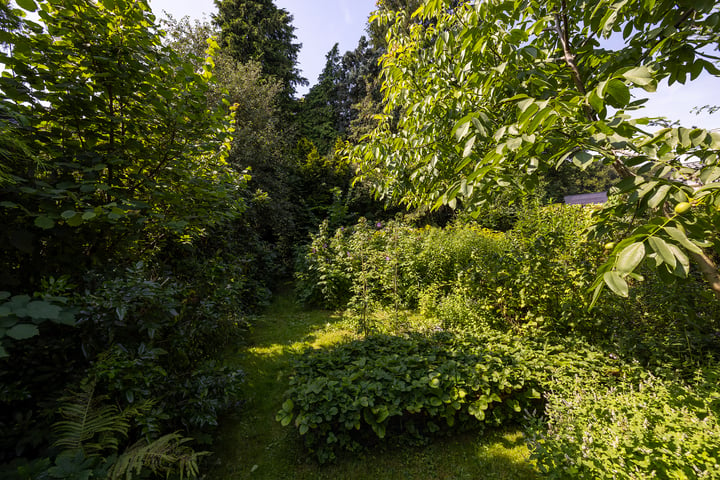 Bekijk foto 48 van Zuiderzeestraatweg 491