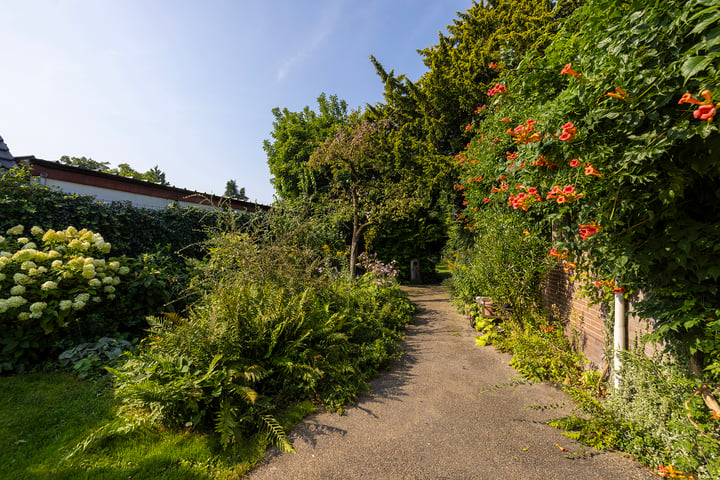 Bekijk foto 49 van Zuiderzeestraatweg 491