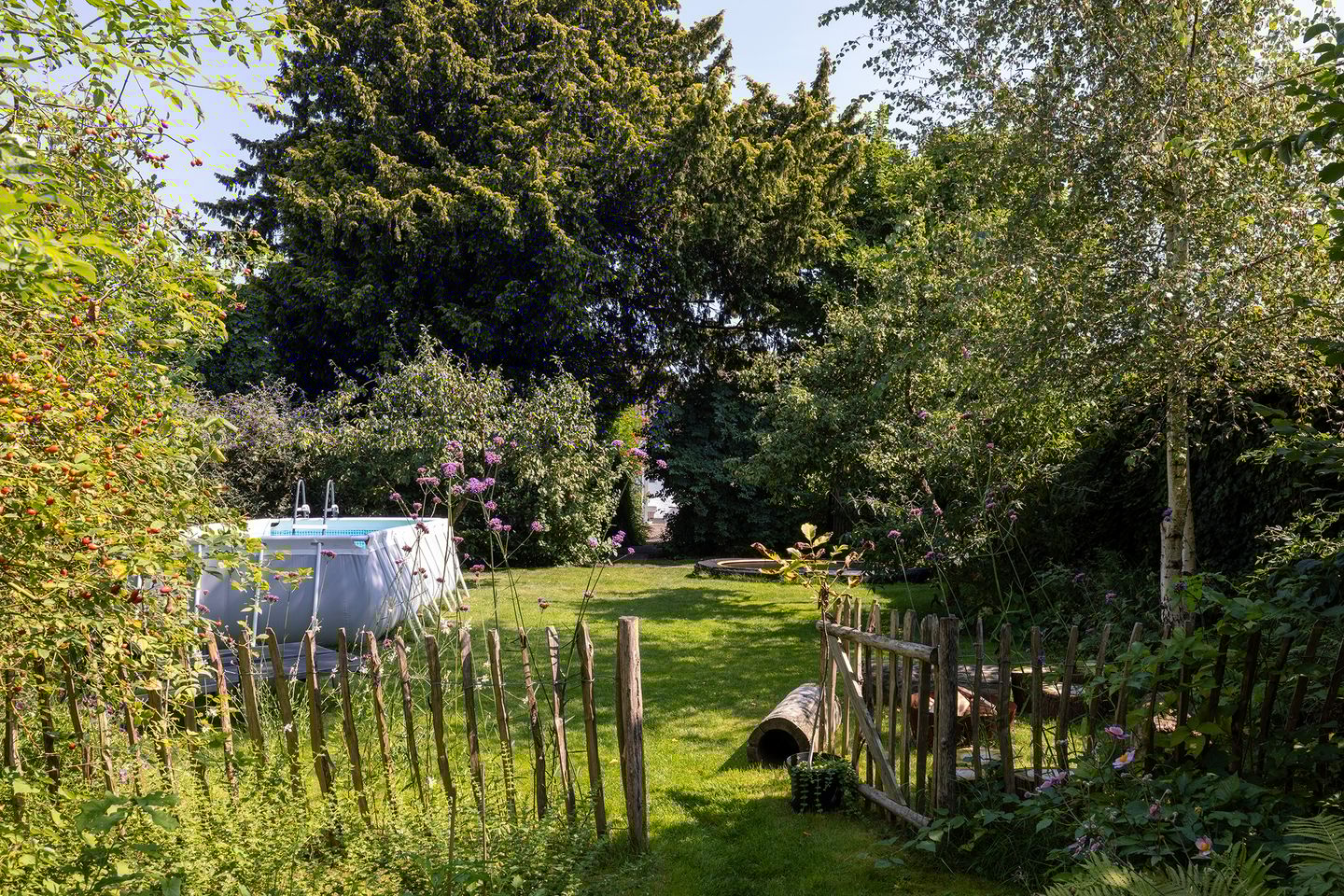 Foto 50 van Zuiderzeestraatweg 491