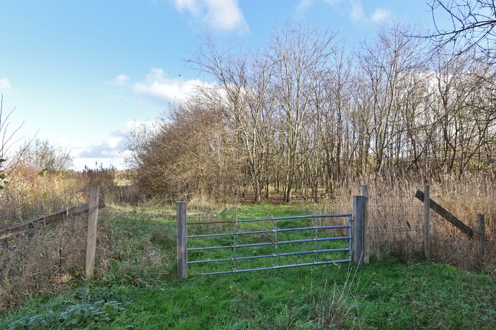 Bekijk foto 37 van Nieuwkoopseweg 38