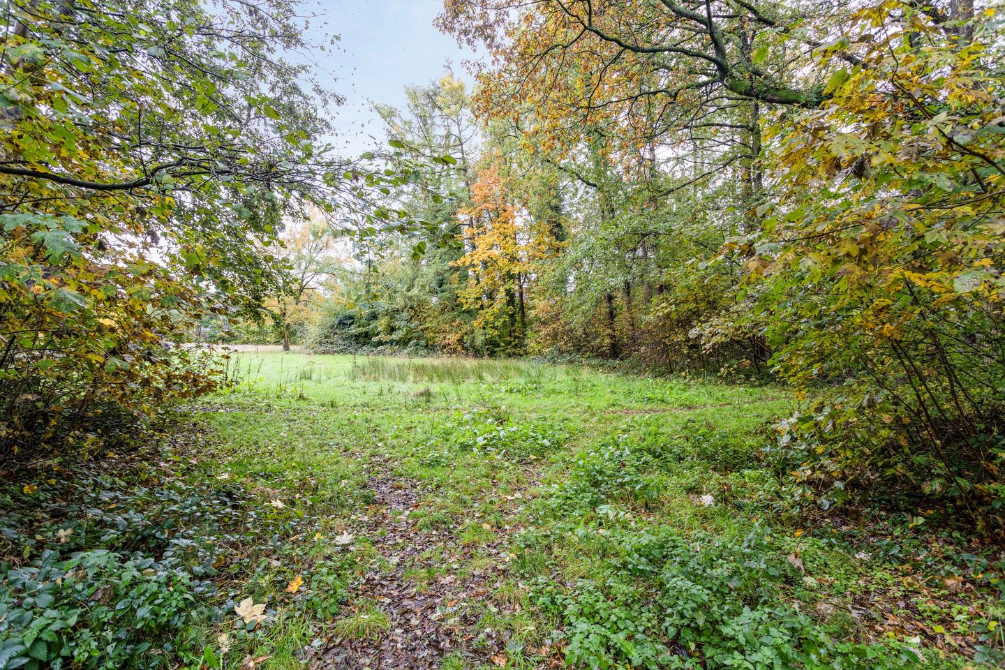 Bekijk foto 4 van Spetsebrugweg